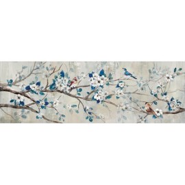 OISEAUX BLEUS