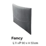 Fancy