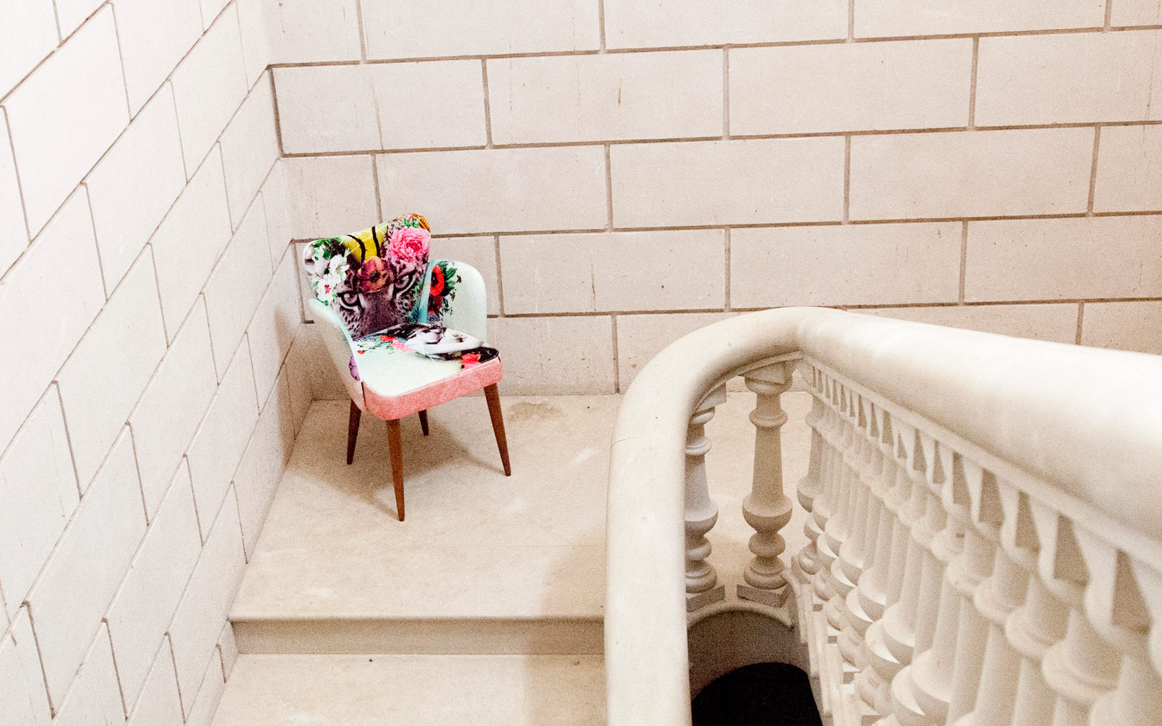 gingeryfred sillas fama 08 baja