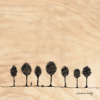 BOIS ARBRE 02 20X20