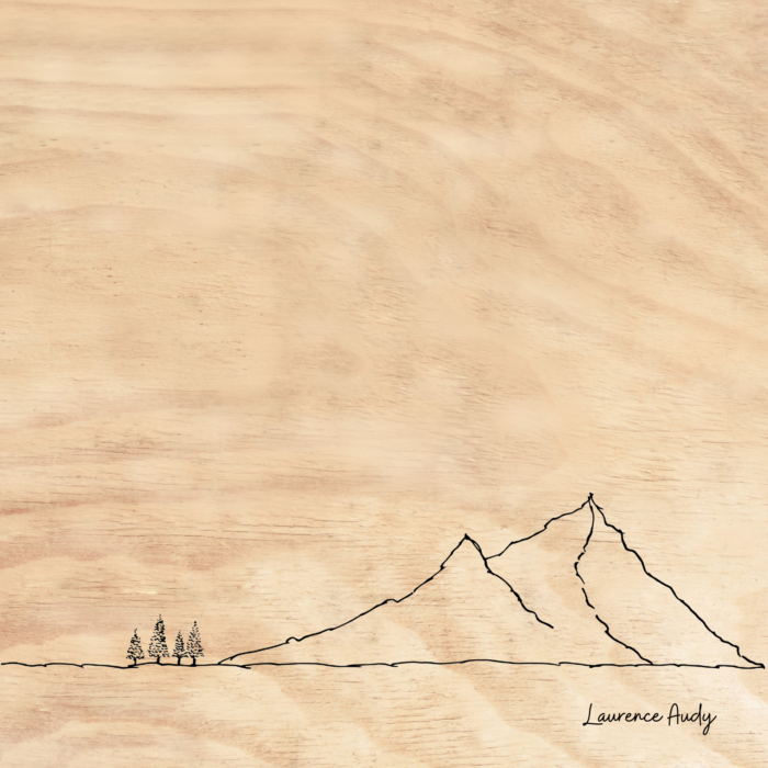 BOIS MONTAGNE 02 20X20