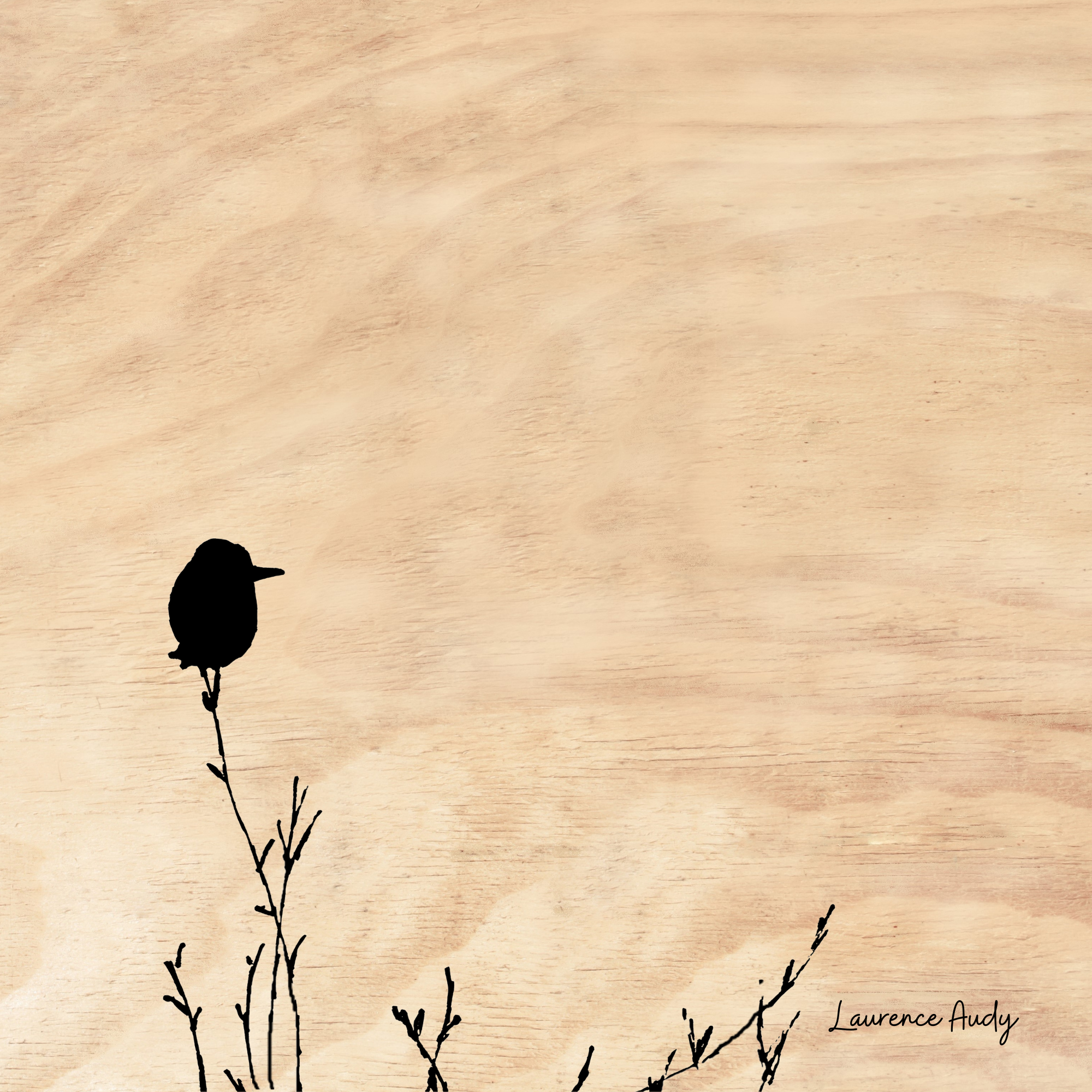 BOIS OISEAUX 02 20X20 BOIS OISEAUX 02 20X20