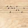 BOIS OISEAUX 04 20X20