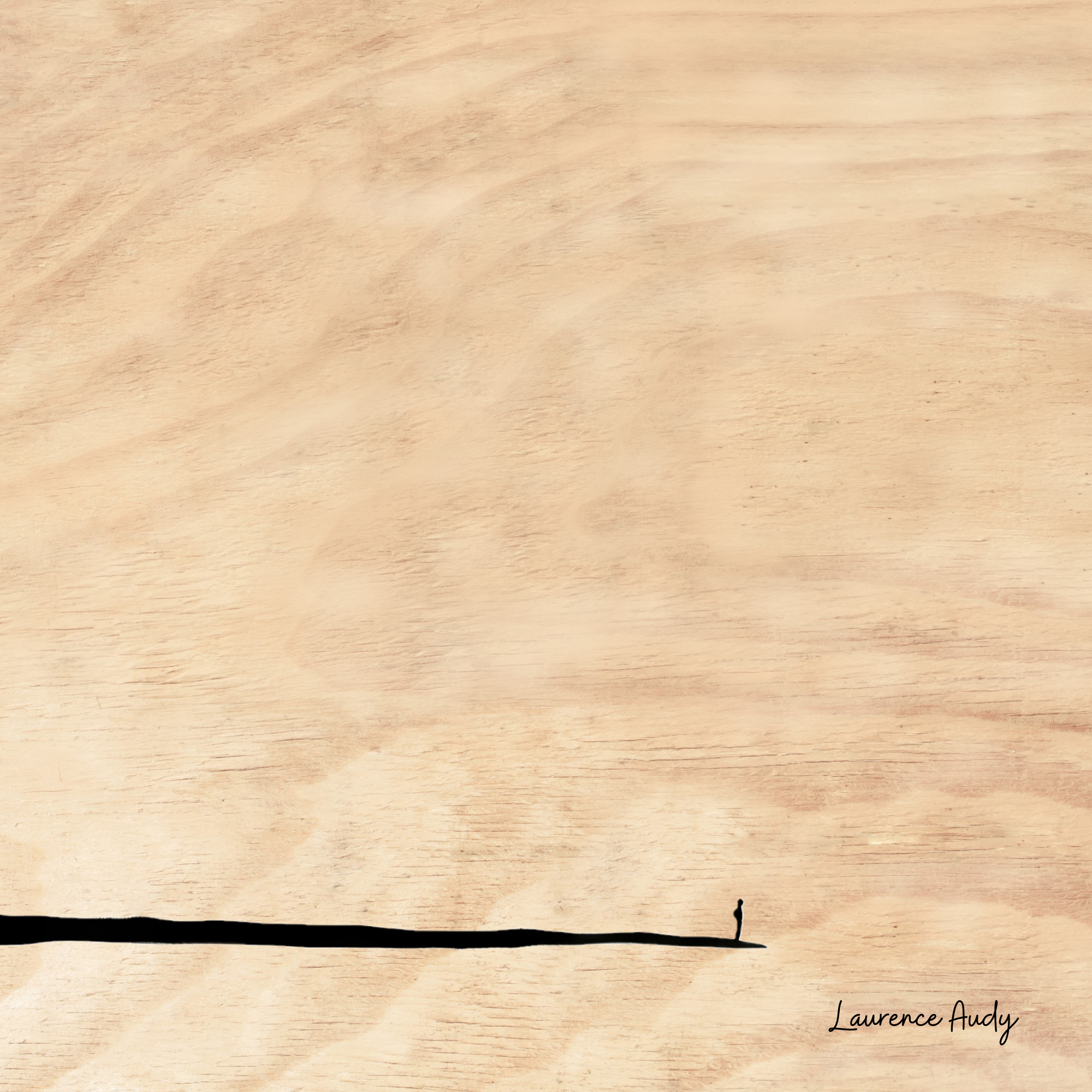 BOIS PERSONNAGE 01 20X20 BOIS PERSONNAGE 01 20X20