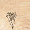 BOIS VEGETAL 01 20X20