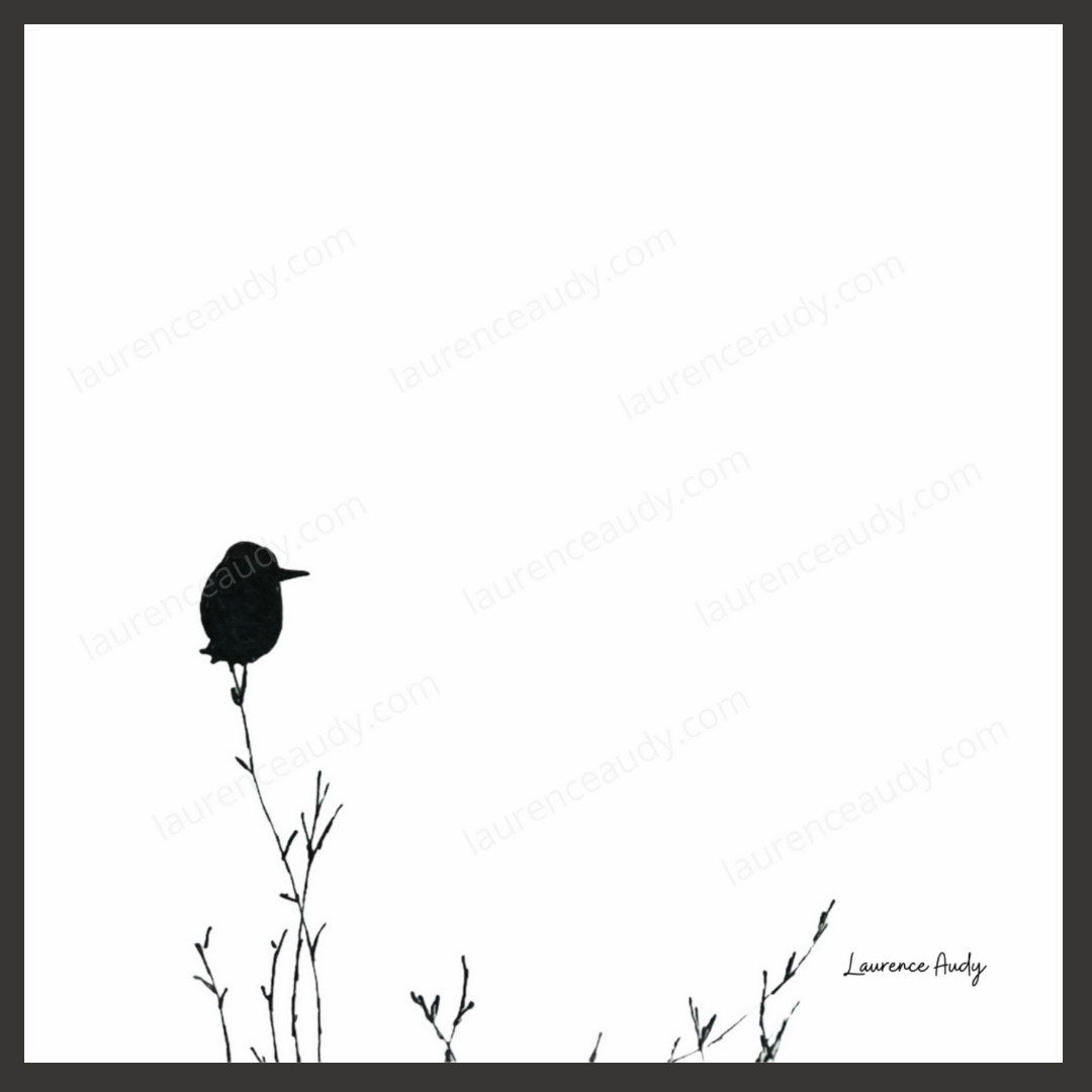 NB OISEAUX 02 CARRE filigrane kawaï noir NB OISEAUX 02 CARRE filigrane kawaï noir