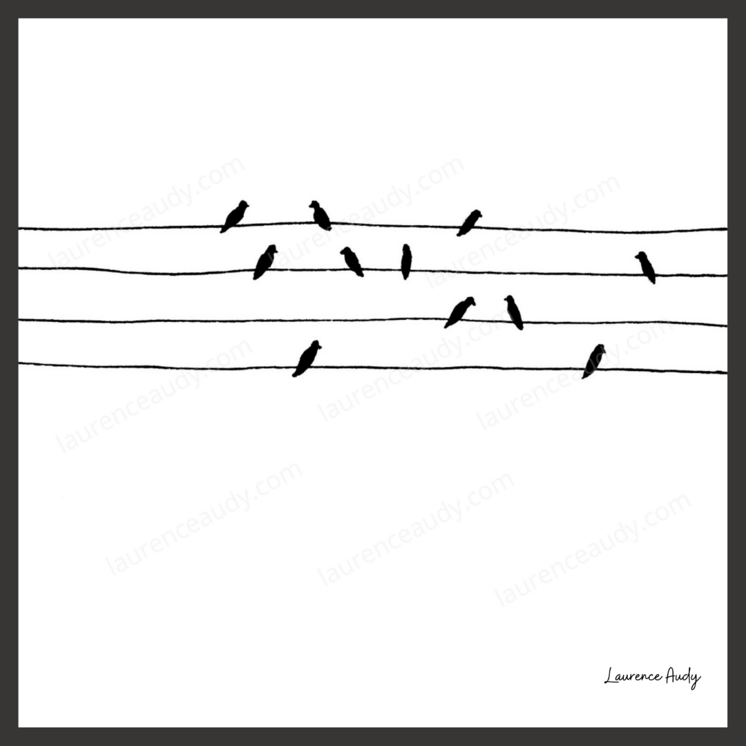 NB OISEAUX 04 CARRE filigrane kawaï noir NB OISEAUX 04 CARRE filigrane kawaï noir