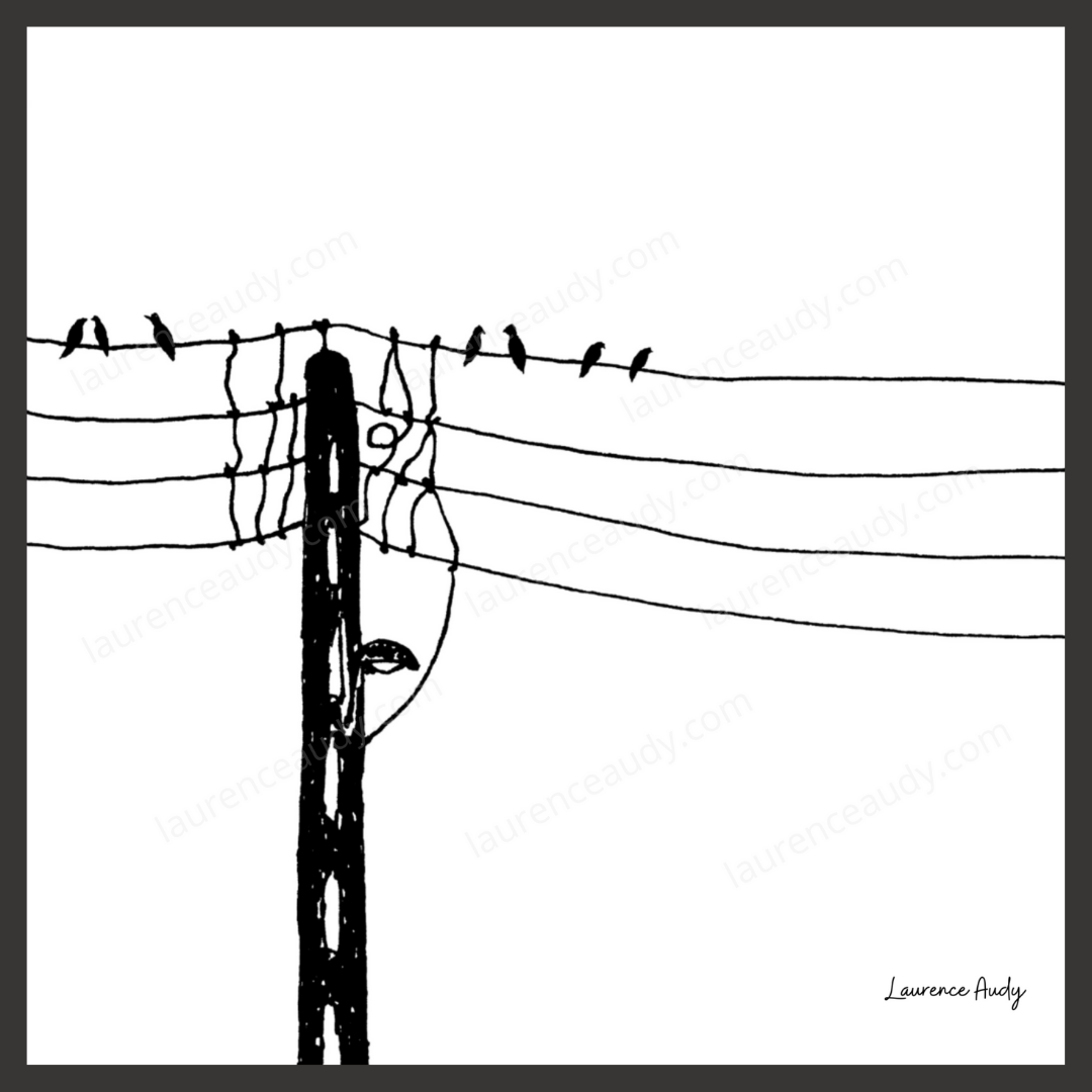 NB OISEAUX 05 CARRE filigrane kawaï noir NB OISEAUX 05 CARRE filigrane kawaï noir