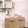 50949 Oak Ligna sideboard 2 doors 2