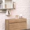 50949 Oak Ligna sideboard 2 doors 2