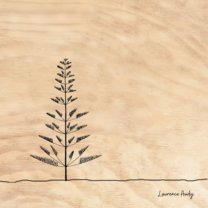 BOIS ARBRE 08 20X20