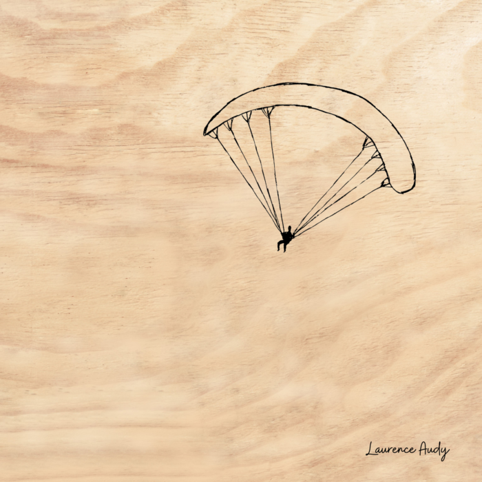 BOIS PARAPENTE 01 20X20